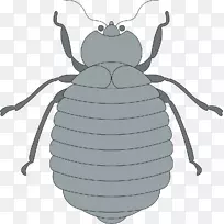 ����ͼ�����������-������