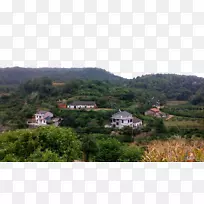 家用电脑图形-树林中的房屋-空若网 家用电脑图形-树林中的房屋-空若网