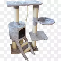 猫树抓后毛格利白花蛇-猫-空若网 猫树抓后毛格利白花蛇-猫-空若网