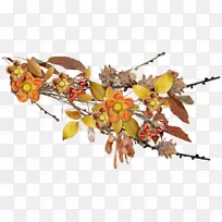 秋叶植物分枝季节-秋季-空若网 秋叶植物分枝季节-秋季-空若网