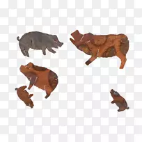 野生动物陆生动物嘴食肉-生锈的金属-空若网 野生动物陆生动物嘴食肉-生锈的金属-空若网