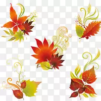 �������ҶҶ-������