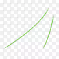 Ò¶Ï߲ݽÇ-¿ÕÈôÍø Ò¶Ï߲ݽÇ-¿ÕÈôÍø