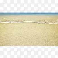 ľ��ֲ���ͥɳ̲����װ��-������