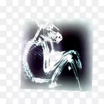 开罗黑豹在地下室杂志摄影-去整合-空若网 开罗黑豹在地下室杂志摄影-去整合-空若网