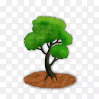 ��-��-������