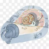 水彩画插图.用手电筒在水彩插图中发现蜗牛-空若网 水彩画插图.用手电筒在水彩插图中发现蜗牛-空若网