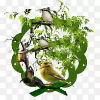 �����������-��-������