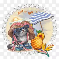 食物-太阳和海洋-空若网 食物-太阳和海洋-空若网