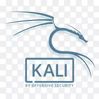 Kali linux����linux���а湥����ȫ����֤רҵlinux-������