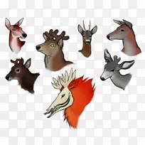 ѱ¹¹�Ƕ���Ұ������ѱ¹-������