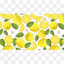柠檬柑橘朱诺主要酸橙-柠檬-空若网 柠檬柑橘朱诺主要酸橙-柠檬-空若网