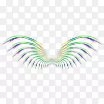 机翼彩色计算机文件-彩色图案翅膀-空若网 机翼彩色计算机文件-彩色图案翅膀-空若网