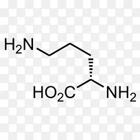 Äñ°±Ëáת°±Ã¸¾«°±Ëá°±»ùËá¦Â-¼×»ù°±»ù-l-±û°±Ëá-¿ÕÈôÍø Äñ°±Ëáת°±Ã¸¾«°±Ëá°±»ùËá¦Â-¼×»ù°±»ù-l-±û°±Ëá-¿ÕÈôÍø