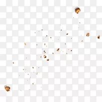 昆虫桌面壁纸堪萨斯-面包屑-空若网 昆虫桌面壁纸堪萨斯-面包屑-空若网