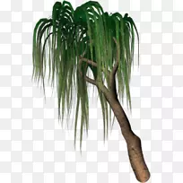 éÄÀƿƲݻ¨Åè³£ÂÌÖ²Îï¾¥ÁøÊ÷Éá-¿ÕÈôÍø éÄÀƿƲݻ¨Åè³£ÂÌÖ²Îï¾¥ÁøÊ÷Éá-¿ÕÈôÍø