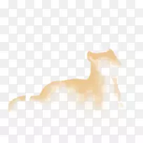 ºúÐëè¹·±Ç×Ó×ÀÃæ±ÚÖ½-è-¿ÕÈôÍø ºúÐëè¹·±Ç×Ó×ÀÃæ±ÚÖ½-è-¿ÕÈôÍø