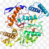 �޼�׵�����߶����������-������