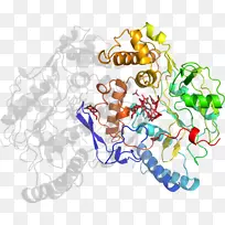 平面设计食物树剪贴画设计-空若网 平面设计食物树剪贴画设计-空若网