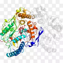 ���߼�����-��-������