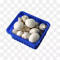 ��ͨĢ���㹽-һ����Ģ��-������