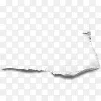 白褶-空若网 白褶-空若网