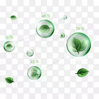 叶绿叶泡-空若网 叶绿叶泡-空若网