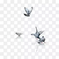 ¶¯Îï¼ÆËã»ú±ÚÖ½.¸ë×Ó²ÄÁÏ-¿ÕÈôÍø ¶¯Îï¼ÆËã»ú±ÚÖ½.¸ë×Ó²ÄÁÏ-¿ÕÈôÍø