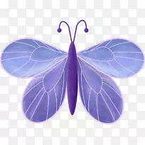 对称-蝴蝶-空若网 对称-蝴蝶-空若网