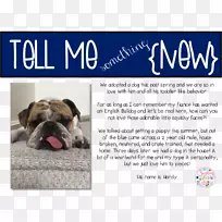 Ȯ�ֶ�ţȮ����������-С��-������