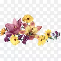 阿达斯特拉(Adasta rereduktsii-鲜花)绘画-空若网 阿达斯特拉(Adasta rereduktsii-鲜花)绘画-空若网