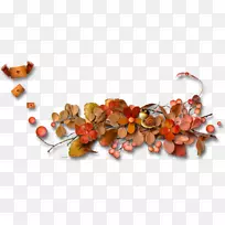 秋季剪贴画-秋季-空若网 秋季剪贴画-秋季-空若网