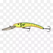 汤匙引诱昆虫鱼-昆虫-空若网 汤匙引诱昆虫鱼-昆虫-空若网