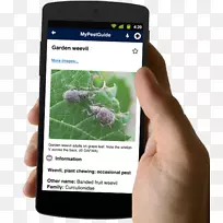 智能手机短信手指农业-智能手机-空若网 智能手机短信手指农业-智能手机-空若网