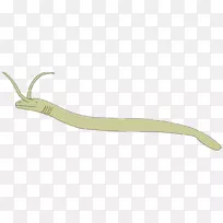 ���ж���-����ʳ����-������