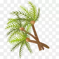 槟榔科椰子树-手绘绿色椰子树-空若网 槟榔科椰子树-手绘绿色椰子树-空若网