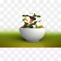 碗花盆超级食品蔬菜网-飞菜碗-空若网 碗花盆超级食品蔬菜网-飞菜碗-空若网