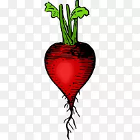 蔬菜食品代康花园萝卜剪贴画-蔬菜-空若网 蔬菜食品代康花园萝卜剪贴画-蔬菜-空若网