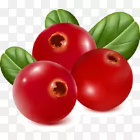 ��ݮ��ݮ��Ϳ�췬��Ҷ-������