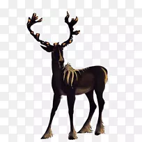 驯鹿羚羊角陆地动物野生动物驯鹿-空若网 驯鹿羚羊角陆地动物野生动物驯鹿-空若网