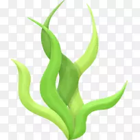 �����ͼ������.����-������