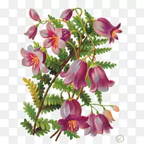 ���û���-��-������