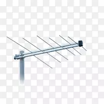 �����������ֵ������-������