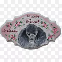 狗鼻子-狗-空若网 狗鼻子-狗-空若网