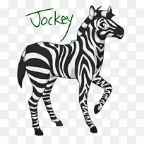 斑马动物白色字体斑马-空若网 斑马动物白色字体斑马-空若网