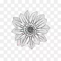 切花白色对称素描线-空若网 切花白色对称素描线-空若网