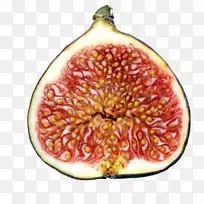 水果、圣诞饰品、天然食品、超级食品-亚当·夏娃-空若网 水果、圣诞饰品、天然食品、超级食品-亚当·夏娃-空若网