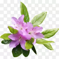 画花耐克阿迪达斯浴缸顶景-空若网 画花耐克阿迪达斯浴缸顶景-空若网