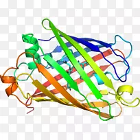 植物茎蔬菜线夹艺术-蔬菜-空若网 植物茎蔬菜线夹艺术-蔬菜-空若网