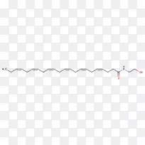 ֱ�ߵ����-������